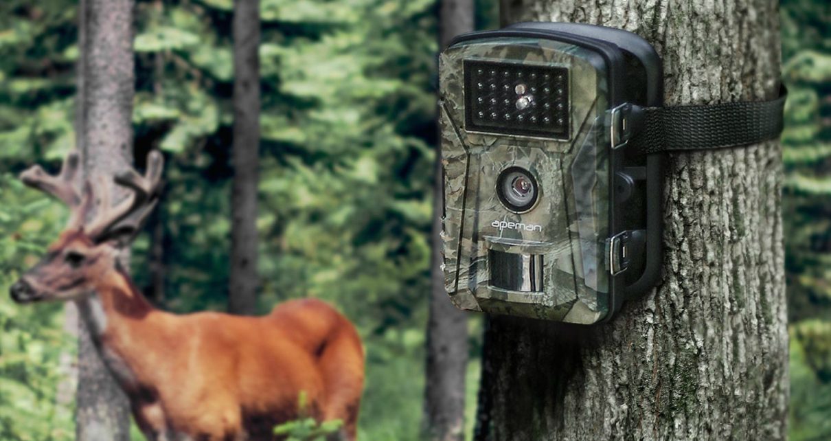 Une caméra de chasse installée dans la nature