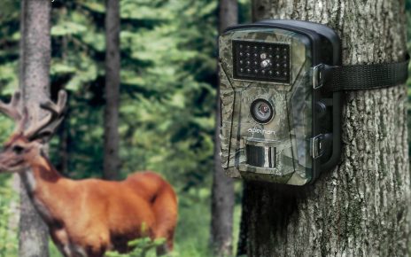 Une caméra de chasse installée dans la nature