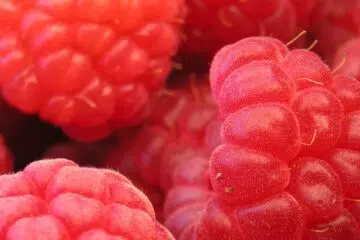 Framboises