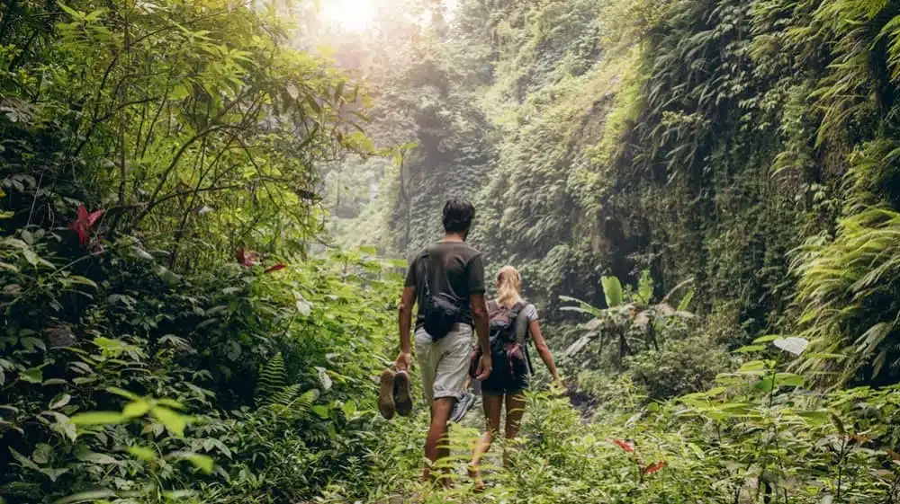 Pourquoi le Costa Rica est une destination privilégiée pour une randonnée 