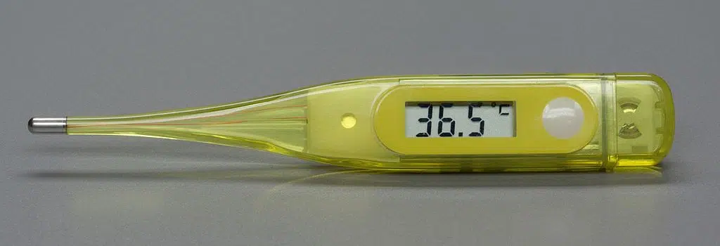 Thermomètre électronique