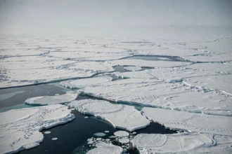 Vue aérienne de la calotte polaire arctique avec étendues de glace et canaux d'eau sombre illustrant les zones polaires incluses dans la superficie mondiale