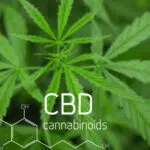 molécule de CBD pour faire des perles de CBD