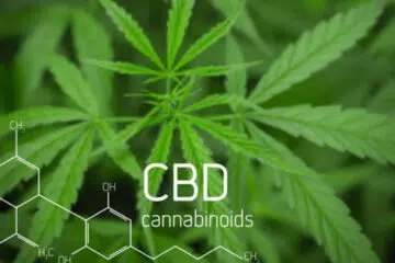 molécule de CBD pour faire des perles de CBD