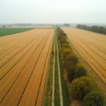 Vue aérienne d'un champ agricole de 10 hectares avec rangées de blé et chemin de terre en campagne française