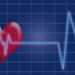 les effets vasodilatateur