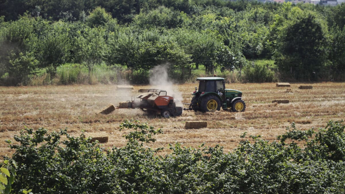 Les avantages de l'achat en ligne de pièces agricoles : optez pour un site dédié !