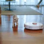 Comment bien choisir son aspirateur ?