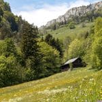 Que diriez-vous d'un peu de tranquillité dans un hébergement insolite ?