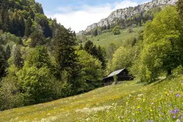 Que diriez-vous d'un peu de tranquillité dans un hébergement insolite ?