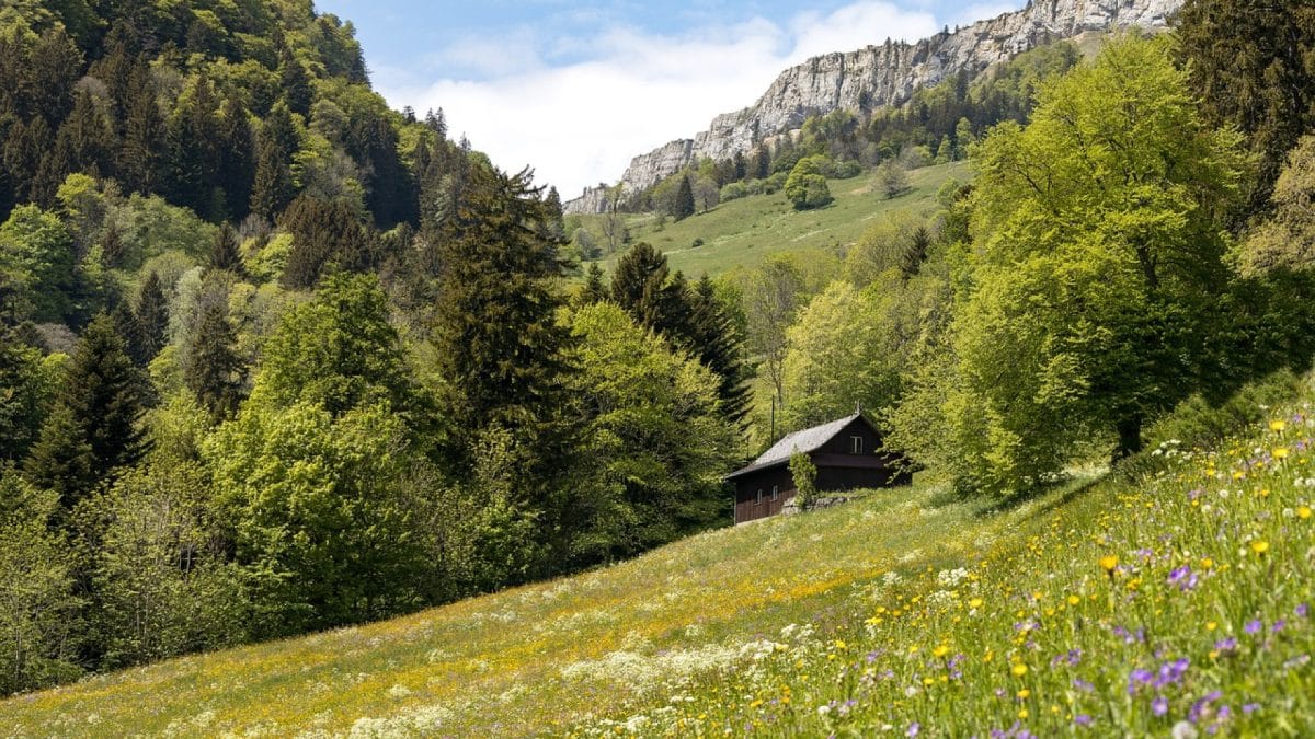 Que diriez-vous d'un peu de tranquillité dans un hébergement insolite ?