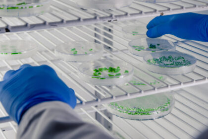 Surgélateurs de laboratoire : comment choisir le bon équipement ?