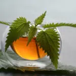 Travail : les raisons de faire une pause tisane