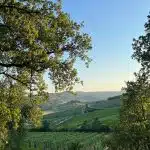 Toscane