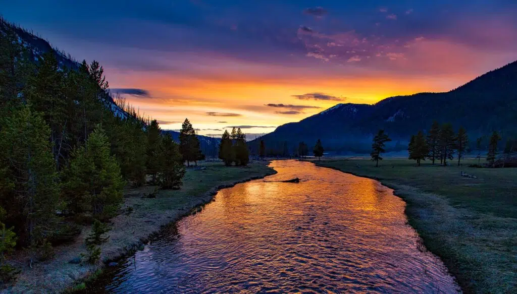 Parc National de Yellowstone